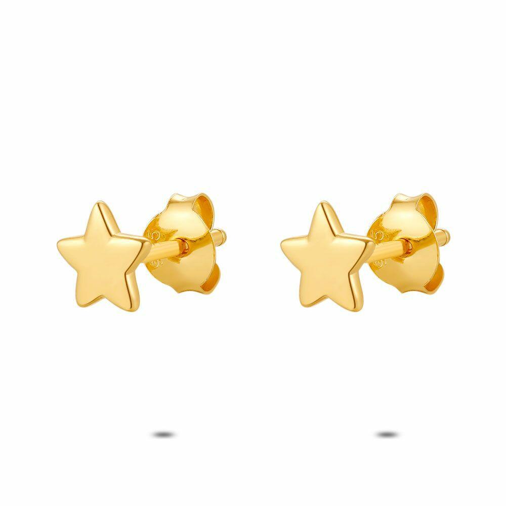 Earrings | 18Ct Gold Plated Silver Earrings, Little Star Earrings Earrings