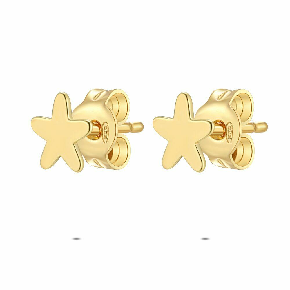 Earrings | 18Ct Gold Plated Silver Earrings, Little Star Earrings Earrings