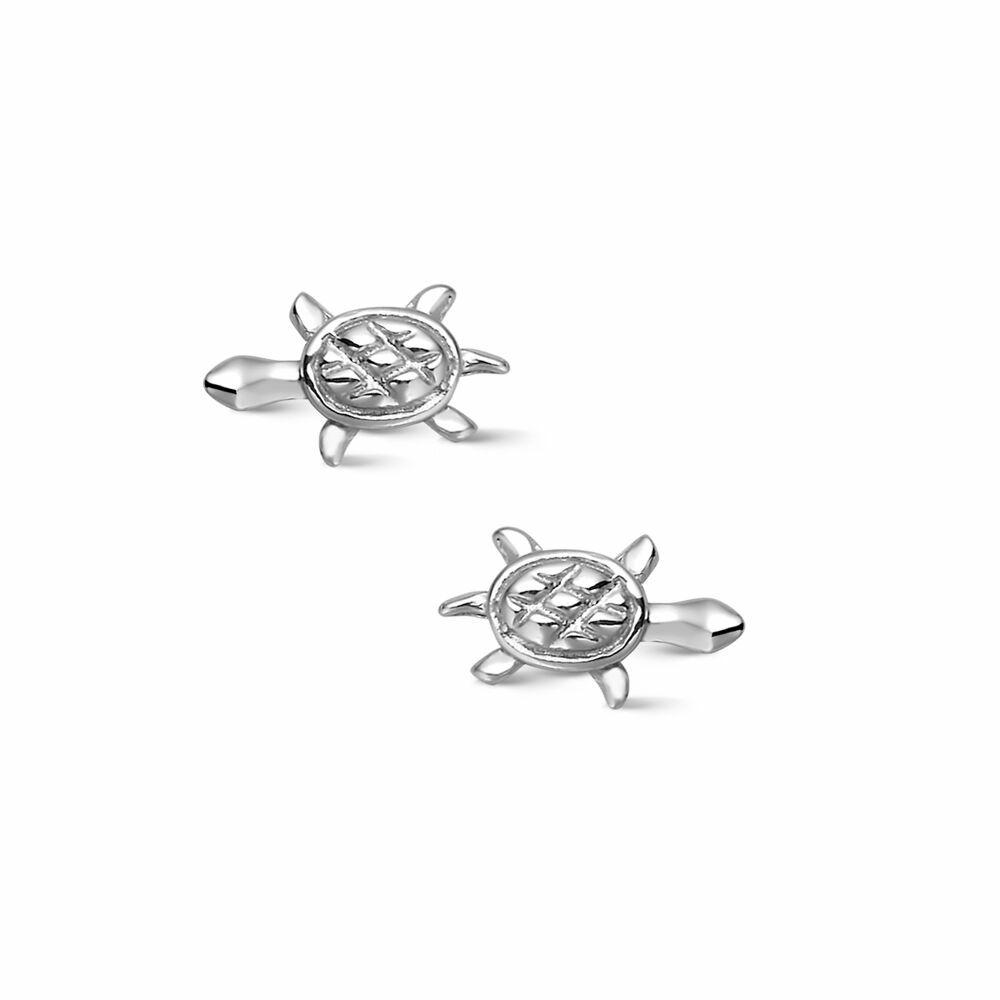 Earrings | Silver Earrings, Little Turtle Earrings Earrings